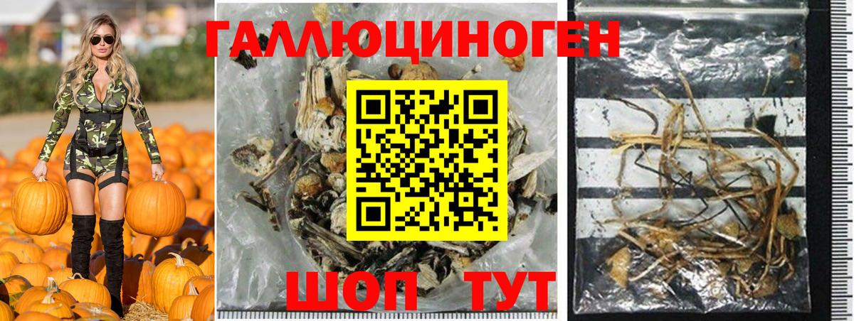 Галлюциногенные грибы MAGIC MUSHROOMS Тихорецк