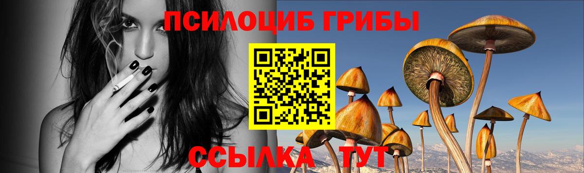 дарнет шоп  Галлюциногенные грибы GOLDEN TEACHER  Псилоцибиновые грибы Magic Shrooms  Вход с VPN  Тихорецк 